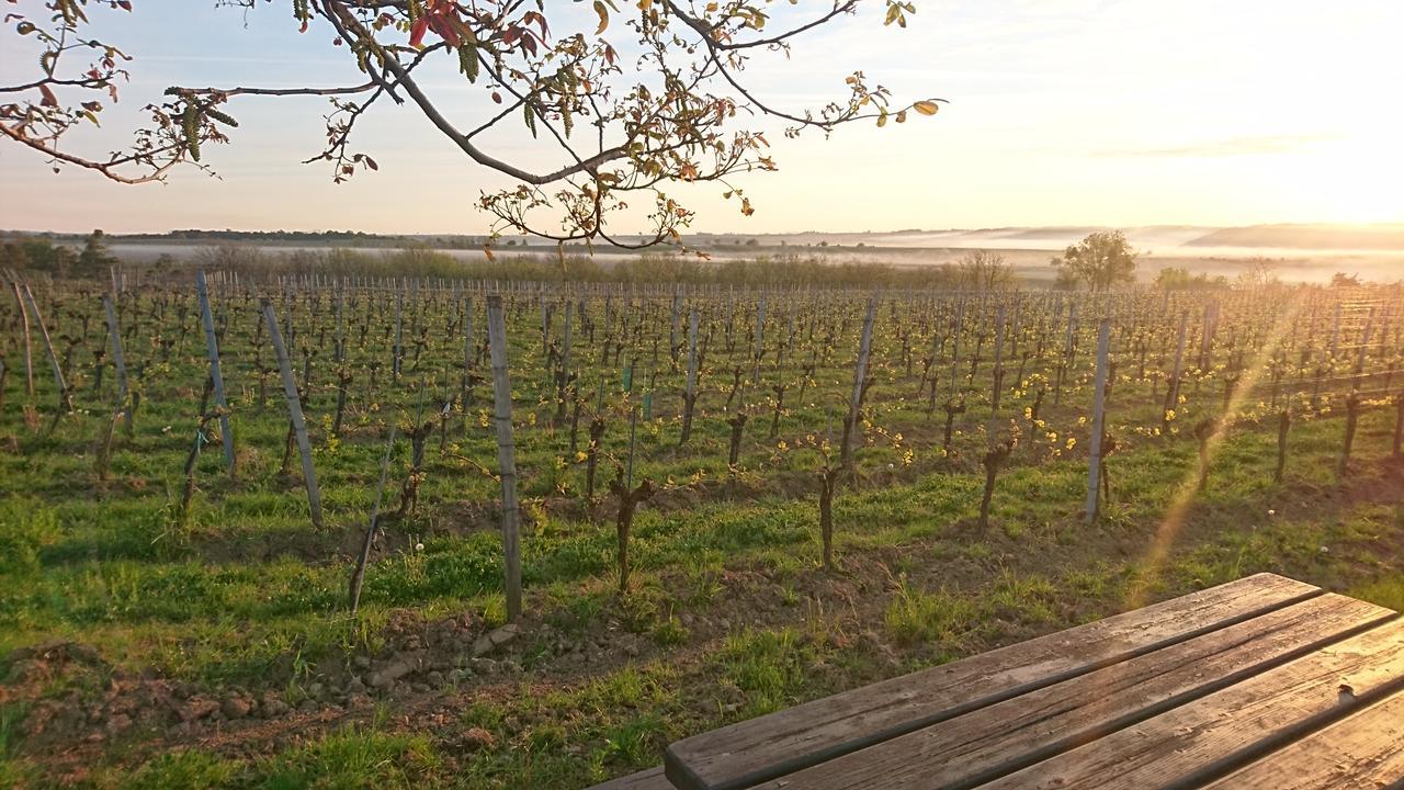 Отель Weingut Familie Bauer Grossriedenthal Экстерьер фото