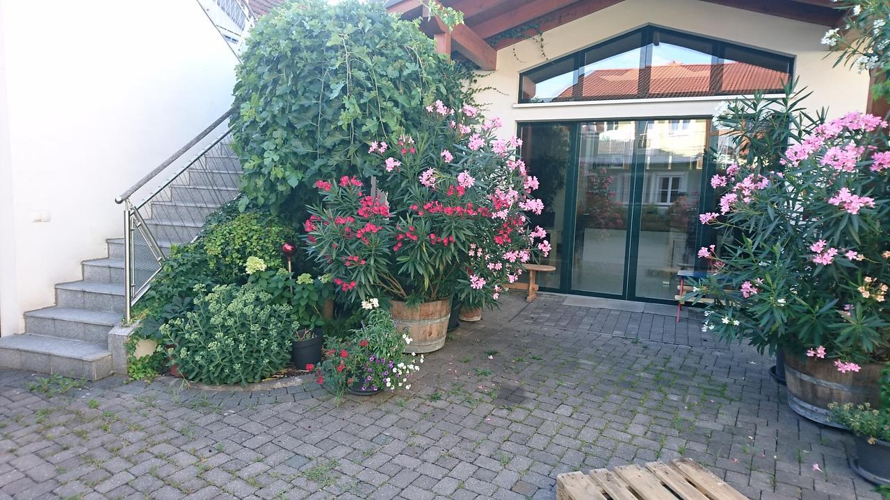 Отель Weingut Familie Bauer Grossriedenthal Экстерьер фото